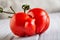 Ugly fruit or vegetable. Severely malformed mutant tomato. Food shops mostly prefer the best quality fruit and vegetables. Ugly