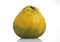 Ugly Grapefruit, citrus xtangelo, Fruit against White Background