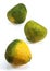 Ugly Grapefruit, citrus xtangelo, Fruits against White Background