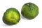 Ugly Grapefruit, citrus xtangelo, Fruits against White Background