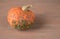 Ugly pumpkin with warts on a brown wooden background