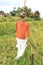 Ugly Scarecrow in Rice Field