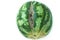 Ugly shaped watermelon with scar-like structure, scratch on white background