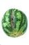 Ugly shaped watermelon with scar-like structure, scratch on white background