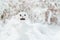 Ugly snowman in snow covered park