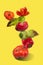 Ugly tomatoes and peppers are in a balance composition on a yellow background. Equilibrium floating food balance