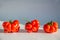 ugly tomatoes variety voyage on white background