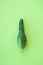 Ugly vegetables, deformed cucumber on a trending green pastel background