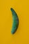 Ugly vegetables, deformed cucumber on a trending orange background
