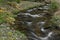 Uhlava river near Spicak hill with wooden bridge and spring fresh water