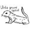 Uinta ground squirrel - vector illustration sketch hand drawn wi