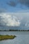 Uitzicht over Oostvaardersplassen, Overview of Oostvaardersplassen