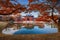 Uji, Kyoto, Japan - famous Byodo-in Buddhist temple