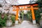 Ujigami shrine at spring in Kyoto, Japan