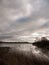 uk autumn winter grey cloudy bay scene outside river branches