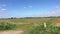 UK Bedfordshire. Agricultural landscape. country road.