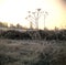 UK, Cotswolds, Frosty field, dawn sun