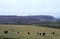 UK, Cotswolds, near Wotton under Edge, view to Tyndale Monument