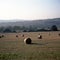 UK, Cotswolds, Painswick, evening view