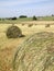 Uk, England, Derbyshire, Tissington, Hayfield