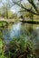 UK habitats river course