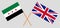 The UK and Interim Government of Syria. British and Coalition flags