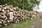 UK logging, logpile or log stack in a forest or woodland