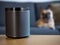 UK, October 2019: Sonos play black wireless speaker with pet dog in lounge