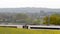 Uk railroad next to rapeseed field and sheep on another side under overcast rain. railway landscape