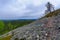 Ukko-Luosto Fell, in Pyha-Luosto National Park