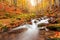 Ukpaine. Waterfall among the mossy rocks. Beautiful landscape rapids on a mountains river in autumn forest in carpathian