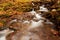 Ukpaine. Waterfall among the mossy rocks. Beautiful landscape rapids on a mountains river in autumn forest in carpathian