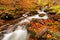 Ukpaine. Waterfall among the mossy rocks. Beautiful landscape rapids on a mountains river in autumn forest in carpathian