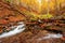 Ukpaine. Waterfall among the mossy rocks. Beautiful landscape rapids on a mountains river in autumn forest in carpathian