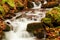 Ukpaine. Waterfall among the mossy rocks. Beautiful landscape rapids on a mountains river in autumn forest in carpathian