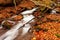 Ukpaine. Waterfall among the mossy rocks. Beautiful landscape rapids on a mountains river in autumn forest in carpathian