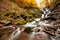Ukpaine. Waterfall among the mossy rocks. Beautiful landscape rapids on a mountains river in autumn forest in carpathian