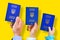 Ukraine biometric international passports  for the whole family concept