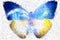 Ukraine butterfly abstract geometric background stained-glass