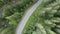 Ukraine, Carpathian Mountains: Road in the Mountains. Aerial, Gray, flat