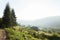 Ukraine Carpathians mountains in fog, green summer valley