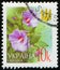 UKRAINE - CIRCA 2002: stamp printed by Ukraine, shows flowering plant Hollyhocks (Alcea setosa)