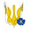 Ukraine coat of arms with wheat and cornflowe in nationality Ukrainian flag color. The vector illustration global