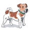 Ukraine Dog Patron, jack russell terrier vector Illustration