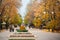 UKRAINE, DONETSK, NOVEMBER, 03, 2015: Beautiful autumn avenue and walking people