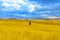 Ukraine flag in blue sky and yellow fields