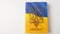 Ukraine flag and coat of arms. Golden trident on cloth flag.