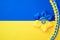 Ukraine flag symbol background. Ukrainian flower trident symbol isolated on yellow blue flag banner. Support Ukraine