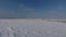 Ukraine January 2017: Aerial-Flying over snow covered field to snowy juniper tree studded hillside on overcast grey day