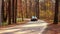 Ukraine. Kharkov 19 October 2019 Black Audi car driving on empty forest road over bright autumn leaves. Colorful fall